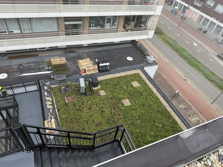 Begroeid dak naast een dakterras